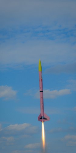 dsc_0053 r panter na ap 740 ns - let rw